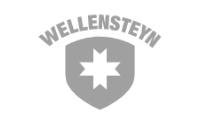 Wellensteyn